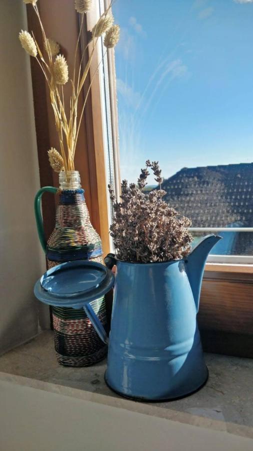 Appartement Hello Balaton à Alsóörs Extérieur photo